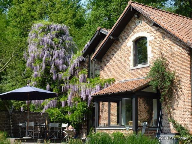 Cosy Lodge Dilbeek Exterior photo